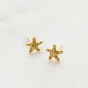 Earrings | Starfish Stud | Gold