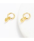 Earrings | Nala Hoop | Gold Earrings | Nala Hoop | Gold
