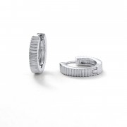 Earrings | Willow Huggy | Silver