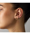 Earrings | Bailey Huggie | Gold Earrings | Bailey Huggie | Gold