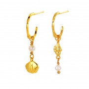Earrings | Goldie Hoop | Gold Earrings | Goldie Hoop | Gold