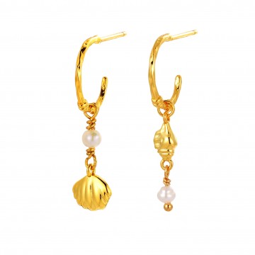 Earrings | Goldie Hoop | Gold Earrings | Goldie Hoop | Gold